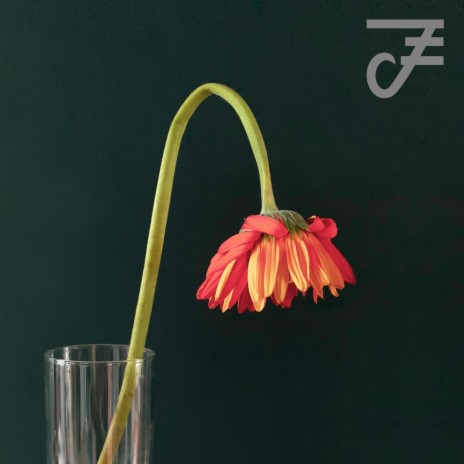 Forgotten gerberas in a bong