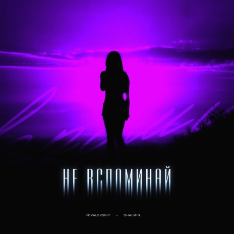 Не вспоминай ft. SHALMIN cover art