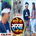Marle Ba Sarva Badi Mar