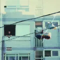 All In