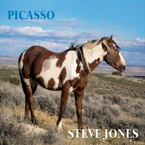 Picasso cover art