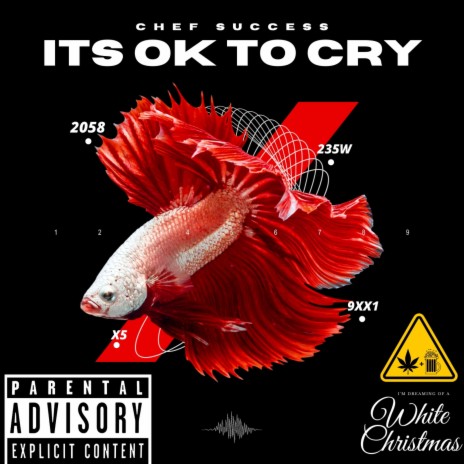 ITS OK TO CRY cover art