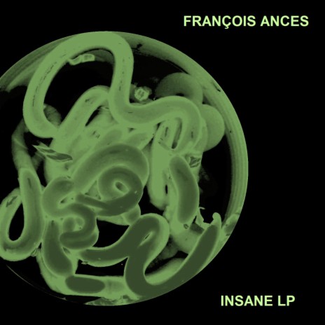 INSANE XI cover art