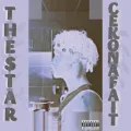 Ce Kon A Fait (slowed and reverb)