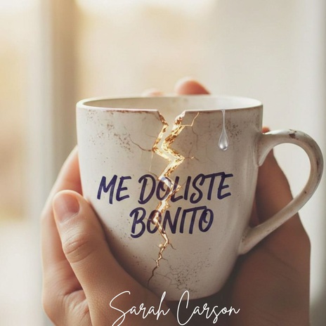 Me doliste y punto cover art