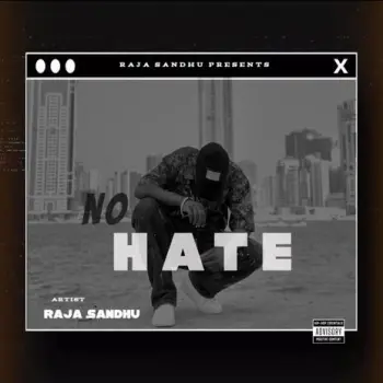 NO HATE cover art