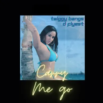 Carry Me Go cover art