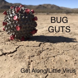 Bug Guts