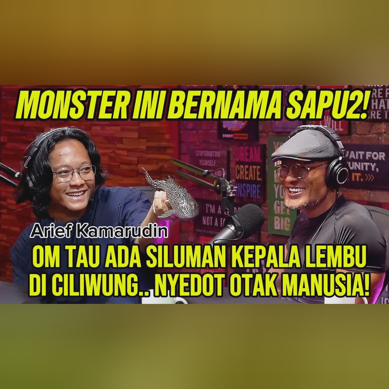 DARI SAPU - SAPU SAMPAI SILUMAN PEMAKAN OTAK!! GAK PAHAM LAGI..‼️ cover art