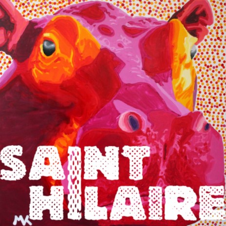 Le marché des transferts cover art
