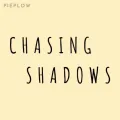 Chasing Shadows