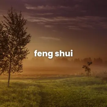 feng shui cover art