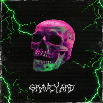 Дело cover art