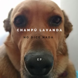 Champú Lavanda