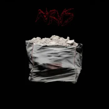 The Sane cover art