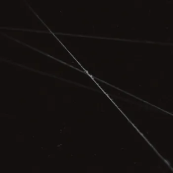 Threads cover art