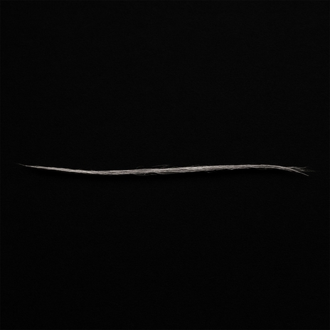 GREY cover art
