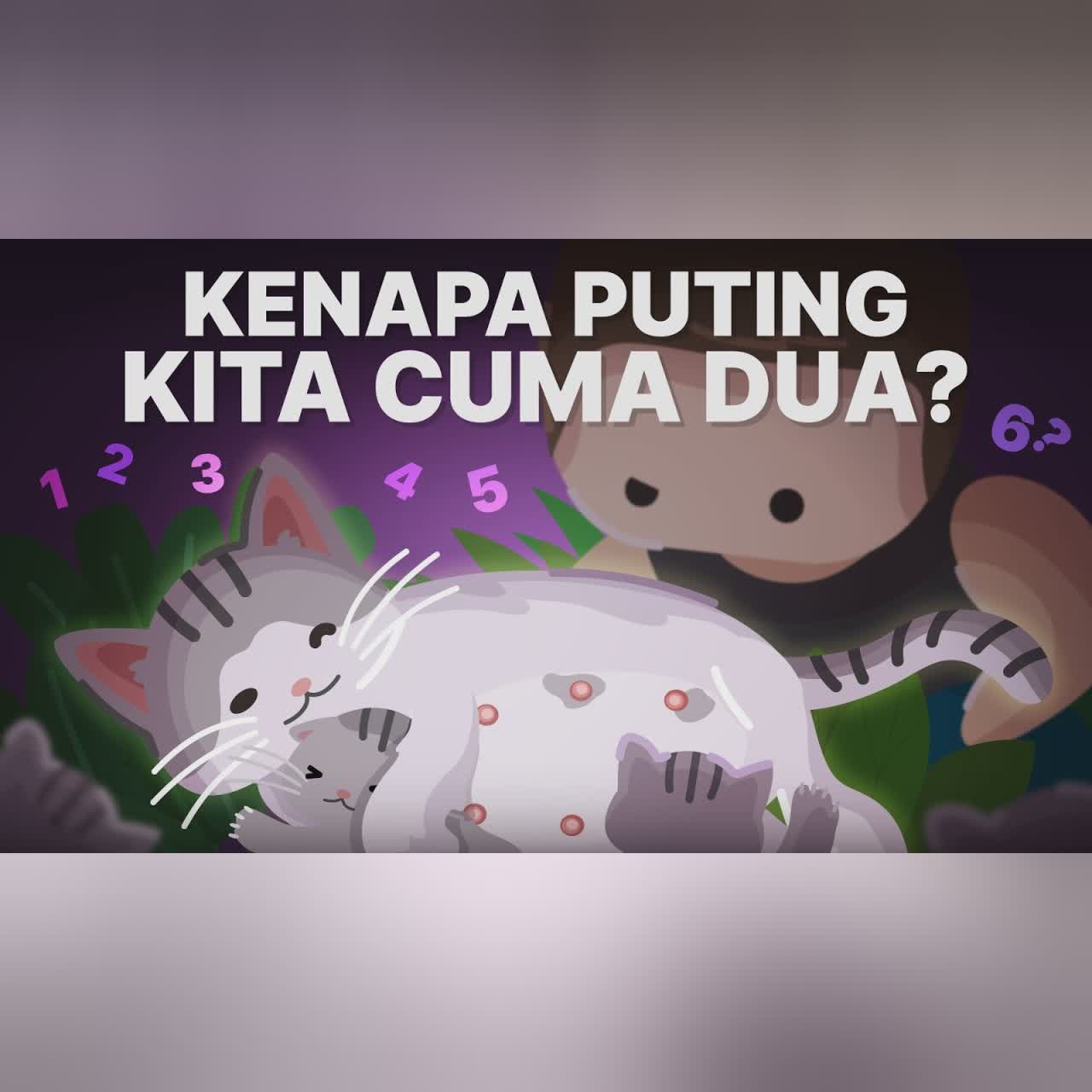 Kenapa Puting Hewan Ada Banyak, Manusia Cuma Dua? cover art