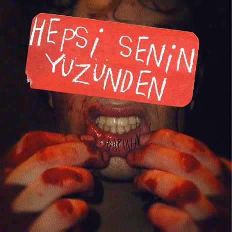 Hepsi Senin Yüzünden cover art