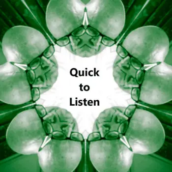 Quick to Listen cover art