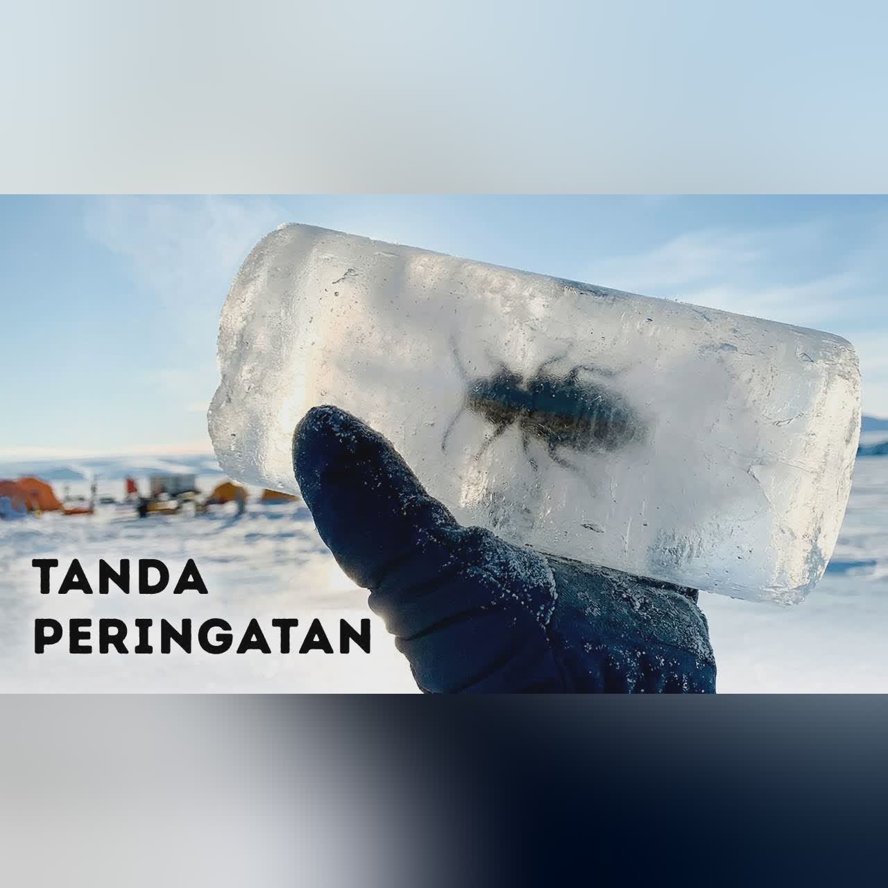 Mikroba-mikroba Ini Mengisyaratkan Es Antartika Mungkin Akan Runtuh Lagi cover art