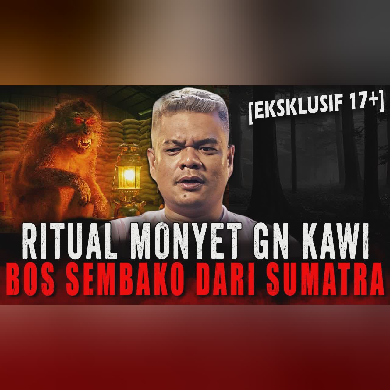 KAYA TAPI ANAKNYA BERBULU ?! BOS TOKO SEMBAKO SUMATRA PELAKU PESUGIHAN MONYET DI GUNUNG KAWI cover art