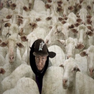 Confessions of a Misfit