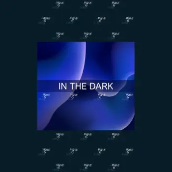 In The Dark cover art