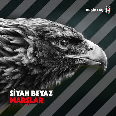 Anlayamaz Kimse Bu Aşkı cover art