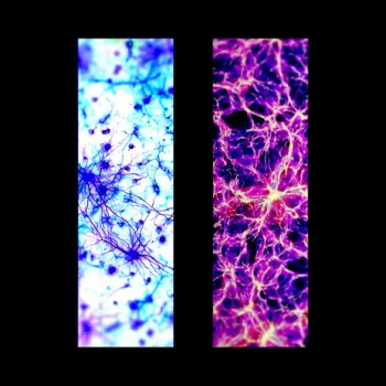 Ambivalent State ft. Ancillary Tones cover art