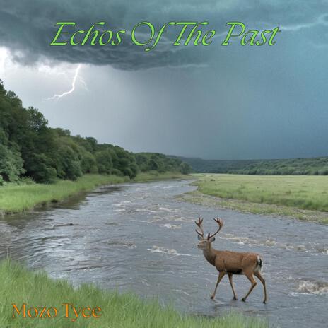 Echos Of The Past cover art