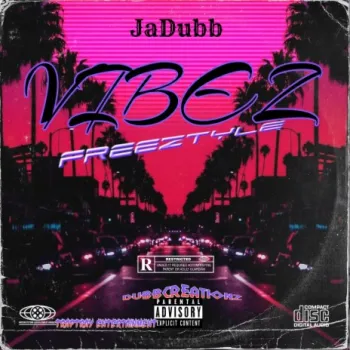 Vibez cover art