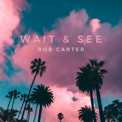 Wait & See cover art
