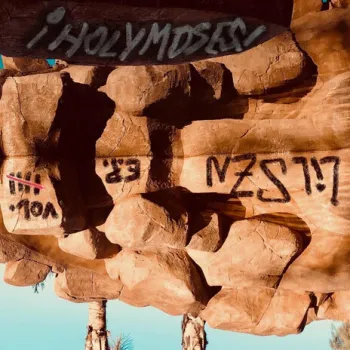 the only one cover art