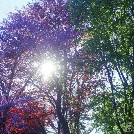 Goodmorning cover art
