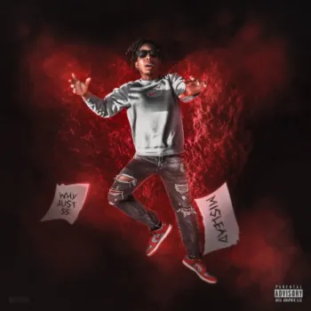 Mislead cover art
