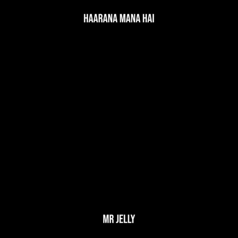 Haarana Mana Hai cover art
