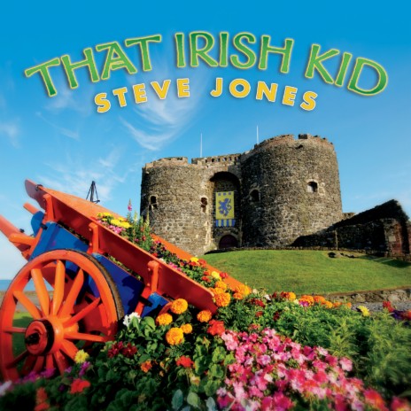 The Galway Shawl cover art