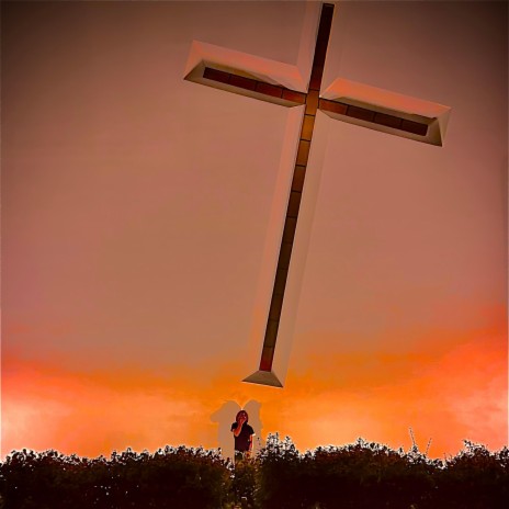 seen cover art