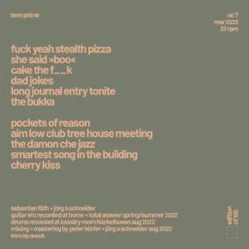 fuck yeah stealth pizza cover art
