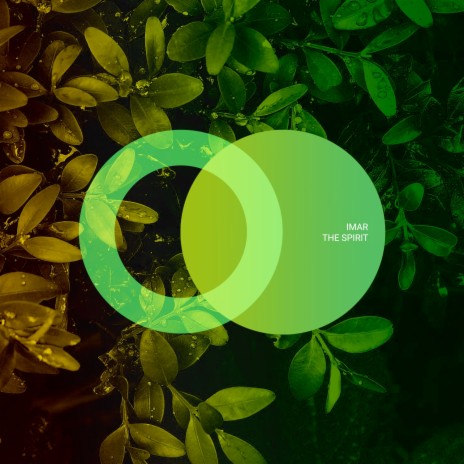 The Spirit (Original Mix) cover art