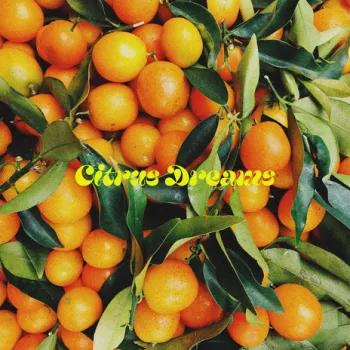 summer ends cover art
