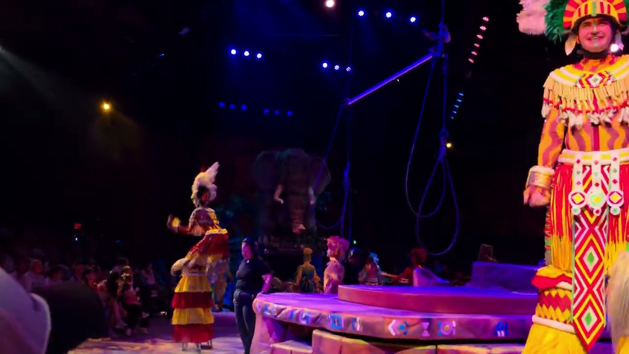 Lion king play at animal Disney 2026