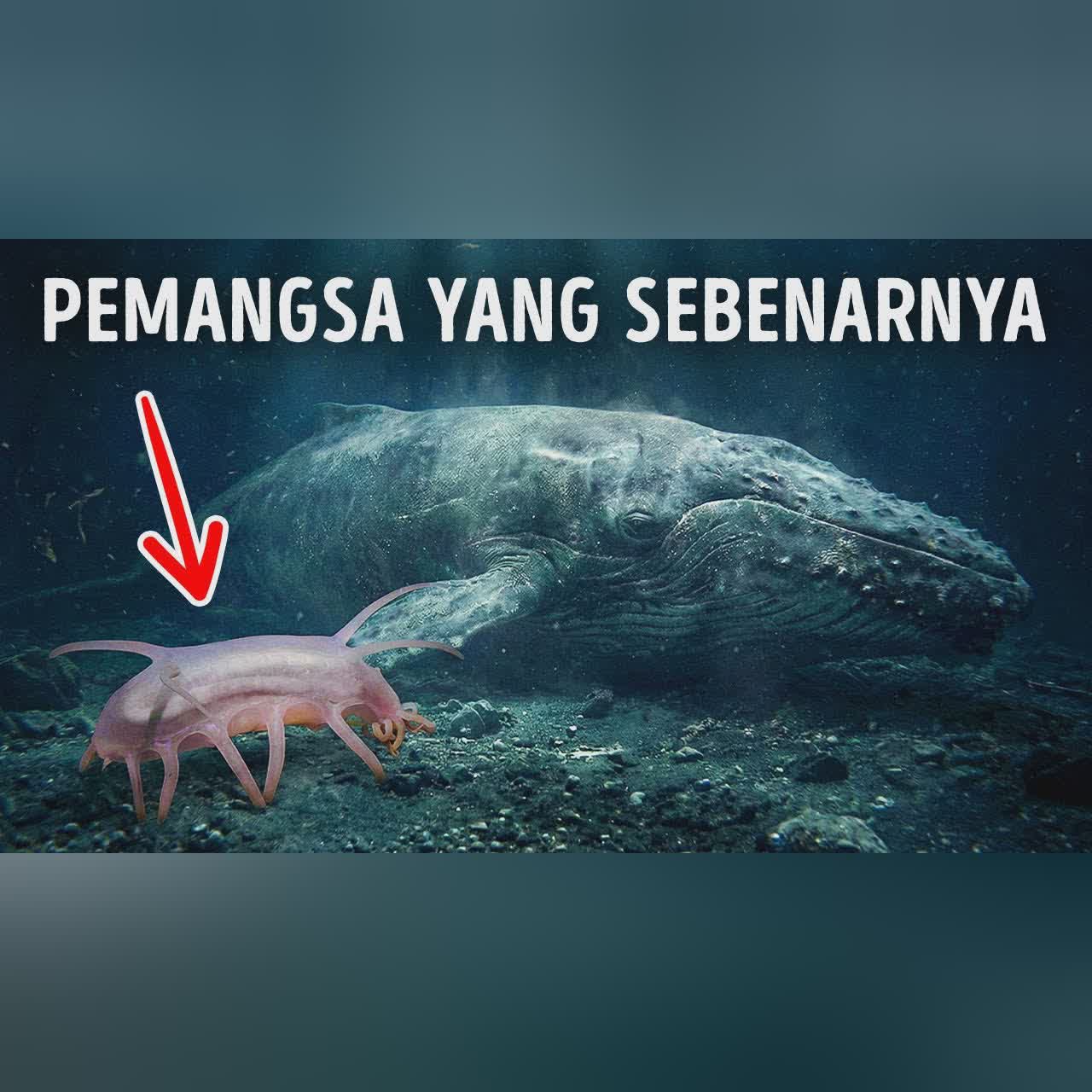 Makhluk Laut Dalam yang Menyeramkan Dengan Bakat yang Terasa Tidak Nyata cover art