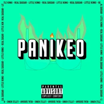 Panikeo ft. Little Kinki cover art