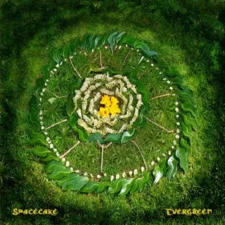 Spacecake cover art
