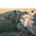 Jump the Buffalo