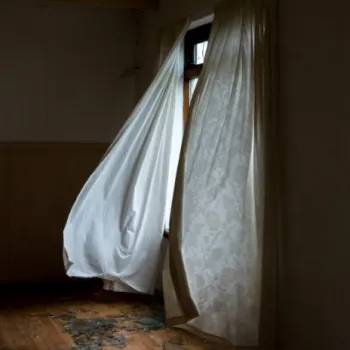 Stay Inside cover art