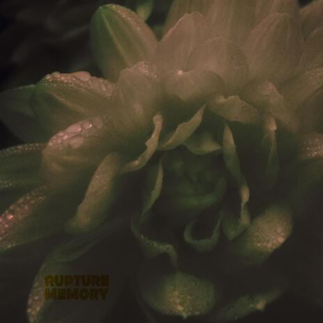 memory cover art
