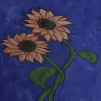 senseless cover art